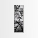 Wisdom Oak Tree, Forest Roots, Ancient Energy, Framed Canvas Print, Rustic Living Room Wall Art, Nature Inspired, Boho Woodland Art