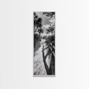 Beach Path, Palm Shadows, Coastal Walkway, Tropical Foliage, Canvas Print, Bathroom or Hallway Wall Art, Coastal Minimalist, Cozy Lodge Decor