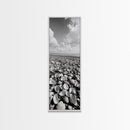 Shell Beach, Coastal Texture, Seashell Ground, Nature’s Bounty, Rustic Ocean Canvas Print, Neutral Kitchen Wall Art, Boho Coastal Style