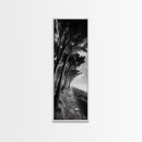 Windy Forest Trail, Dark Coastal Trees, Atmospheric Nature, Framed Canvas Print, Fall Living Room Wall Art, Moody Landscape Aesthetic