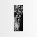 Tide Pool Life, Sea Creatures, Textured Nature, Ocean Details, Shell Art, Framed Canvas Print, Bathroom Wall Art, Coastal Boho Vibes