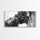 Coastal Texture, Tidepool Abstract, Modern Ocean Nature, Framed Canvas Print, Bathroom Wall Art, Marine Minimalist Photography