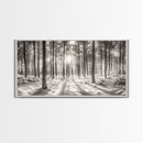 Winter Pine Forest, Sunlight Snow Trees, Nature Landscape Photography, Framed Canvas Print, Cabin Decor, Minimalist Wall Art