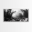 Kelp Forest Rays, Underwater Light, Black and White Ocean Scene, Framed Canvas Print, Nature Wall Art, Coastal Bathroom Decor