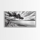 Tree Horizon, Curved Pine, Coastal Calm, Zen Scene, Canvas Print, Living Room Wall Art, Wabi Sabi Decor, Natural Minimal Aesthetic