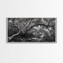 Mangrove Roots, Twisted Forest, Wild Nature, Moody Jungle, Framed Canvas Print, Rustic Living Room Art, Woodland Decor, Boho Vibes