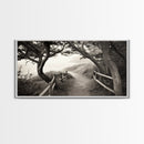 Ocean Cliff Path, Framed Trail Trees, Coastal Escape Scene, Framed Canvas Print, Boho Bedroom or Peaceful Hallway Wall Art, Entryway Accent