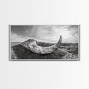 Driftwood Horn Curve, Coastal Nature Art, Whale Bone Decor, Beachside Minimalism, Canvas Print, Entryway Wall Art, Nautical Rustic Decor