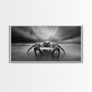 Fierce Crab, Coastal Storm, Ocean Mood, Dramatic Shore, Framed Canvas Print, Bathroom Wall Art, Beach House Decor, Marine Photography