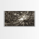 Enchanted Forest Light, Tree Shadows, Nature Landscape, Framed Canvas Print, Rustic Wall Art, Entryway Woodland Decor, Boho Forest Print