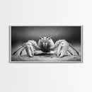 Hermit Crab, Close-Up, Ocean Creature, Monochrome Nature, Framed Canvas Print, Marine Wall Decor, Coastal Kitchen Wall Art, Entryway Accent