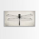 Dragonfly Sketch, Insect Art Print, Botanical Illustration, Minimalist Natural History, Framed Canvas Print, Office or Study Wall Art