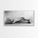 Driftwood Sculpture, Organic Modern Art, Natural Wood Texture, Neutral Decor, Framed Canvas Print, Bedroom or Living Room Wall Art