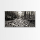 Forest Stream, Tranquil Woodland Path, Autumn Nature Photography, Framed Canvas Print, Rustic Cabin Decor, Living Room Wall Art