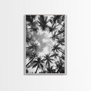 Palm Tree Sky, Tropical Canopy, Black and White Island View, Jungle Overhead Scene, Framed Canvas Print, Bathroom Wall Art, Beach Boho Decor