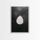 Floating Leaf, Still Water, Nature Simplicity, Autumn Calm, Canvas Print, Minimalist Wall Art, Bathroom Decor, Scandinavian Fall Style