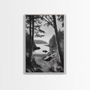 Woodland Cove Path, Tranquil Forest Scene, Nature Escape Art, Canvas Print, Cabin Wall Art, Coastal Boho Decor, Black White Landscape