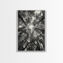 Tree Canopy, Forest Light, Upward View, Canvas Print, Woodland Wall Art, Living Room Decor, Nature Perspective Photography