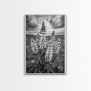 Lupine Flower Field, Bold Floral, Spring Nature Scene, Framed Canvas Print, Boho Living Room Art, Botanical Wall Decor