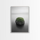 Moss Rock Minimal, Green Accent Art, Coastal Zen Decor, Framed Canvas Print, Modern Neutral Room, Nature Wall Aesthetic
