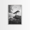 Lone Tree, Cliffside Ocean, Windy Coast Art, Framed Canvas Print, Bedroom Wall Art, Modern Nature Photography, Coastal Minimalist Decor