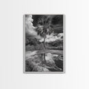 Tropical Palm, Reflected Sky, Nature Tranquility, Canvas Print, boho wall decor, bathroom art, tropical reflection photography