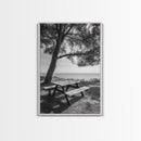 Seaside Bench, Peaceful Escape, Shaded Picnic, Canvas Print, nature photography, coastal wall art, relaxing ocean decor, Minimalist Decor