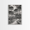 Forest Shadows, Tall Pines, Natural Light, Framed Canvas Print, woodland landscape, rustic cabin decor, autumn forest art