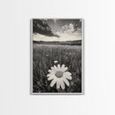 Wildflower Field, Daisy Bloom, Summer Meadow, Framed Canvas Print, Boho Botanical Wall Art, Bedroom Decor, Earthy Nature Photography