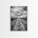 Vineyard Rows, Cloudy Skies, Countryside Path, Canvas Print, Farmhouse Wall Art, Kitchen or Dining Decor, Rustic Landscape Photo