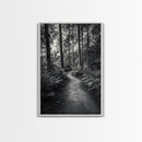 Fern Pathway, Enchanted Forest, Woodland Trail, Framed Canvas Print, Nature Walk Wall Art, Boho Bedroom Decor, Moody Landscape Style