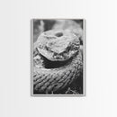Rattlesnake Face, Coiled Closeup, Venomous Gaze, Canvas Print, Macro Wildlife Wall Art, Reptile Decor, Intense Black White Photography