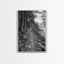 Forest Pathway Trail, Wilderness Escape, Rustic Nature, Black and White Framed Canvas Print, Cozy Cabin or Entryway Wall Art