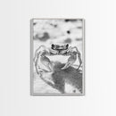 Sand Crab, Beach Macro, Ocean Critter Art, Framed Canvas Print, Coastal Bathroom Decor, Beach House Wall Art, Nature Close-Up