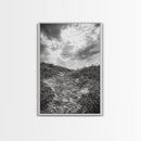 Sandy Trail, Ocean Path, Windy Grass, Moody Sky, Framed Canvas Print, coastal nature photography, hallway decor, rustic neutral art