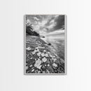 Flower Shore, Peaceful Beach, Moody Sky, Petal Scape, Framed Canvas Print, romantic beach art, bedroom decor, black and white floral print