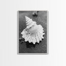 Spiral Shell, Beach Texture, Nature Closeup, Sea Whisper Framed Canvas Print, minimalist beach wall art, boho coastal kitchen decor