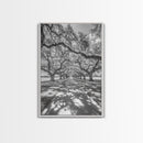Oak Tree Tunnel, Southern Charm, Shaded Pathway, Timeless Trees Framed Canvas Print, farmhouse wall decor, hallway landscape art