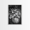 Seashell Pile, Textured Beach, Coastal Treasures, Natural Beauty Framed Canvas Print, bathroom decor, shell art, beach wall style