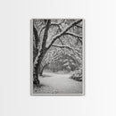 Snowfall Trees, Winter Forest, Nature Pathway, Canvas Print, Holiday Season Decor, Cozy Living Room or Cabin Wall Art