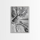 Coastal Snow, Barren Tree, Frozen Shoreline, Canvas Print, Serene Winter Decor, Entryway or Hallway Minimalist Wall Art