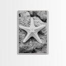 Starfish Closeup, Coastal Shell, Beach Texture, Framed Canvas Print, Bathroom or Ocean Nursery Decor, Minimal Beach Art