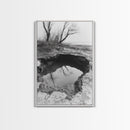 Reflected Trees Pool, Black White Nature, Moody Autumn Wall Art, Rustic Minimalist Style, Framed Canvas Print, Entryway Home Decor