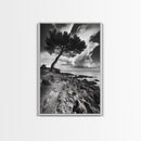 Wind Bent Tree, Coastal Cliff, Solitary Beauty, Canvas Print, Nature Photography Wall Art, Minimalist Earthy Decor, Moody Landscape