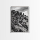 Hillside Forest, Peaceful Pines, Mountain Light, Framed Canvas Print, Nature Wall Art, Cabin Decor, Woodland Landscape Scene