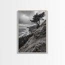 Lone Tree, Ocean Bluff, Windy Coastline, Canvas Print, Coastal Landscape Wall Art, Moody Nature Decor, Minimalist Vibe, Coastal Wall Art