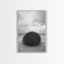 Windswept Beach Nest, Natural Sculpture, Driftwood Ball, Solitude Scene, Canvas Print, Minimalist Wall Art, Neutral Bedroom Decor