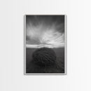Twilight Field Nest, Tumbleweed Art, Desert Calm, Grassy Plains, Framed Canvas Print, Entryway Wall Art, Boho Nature Landscape