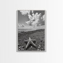 Starfish on Shore, Rocky Beach Scene, Cloudy Sky Horizon, Ocean Calm, Framed Canvas Print, Coastal Art, Bathroom Wall Decor
