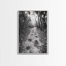 Forest Trail Path, Woodland Escape, Nature Walk, Adventure Art, Framed Canvas Print, Office Wall Decor, Autumn Vibes, Rustic Nature Style